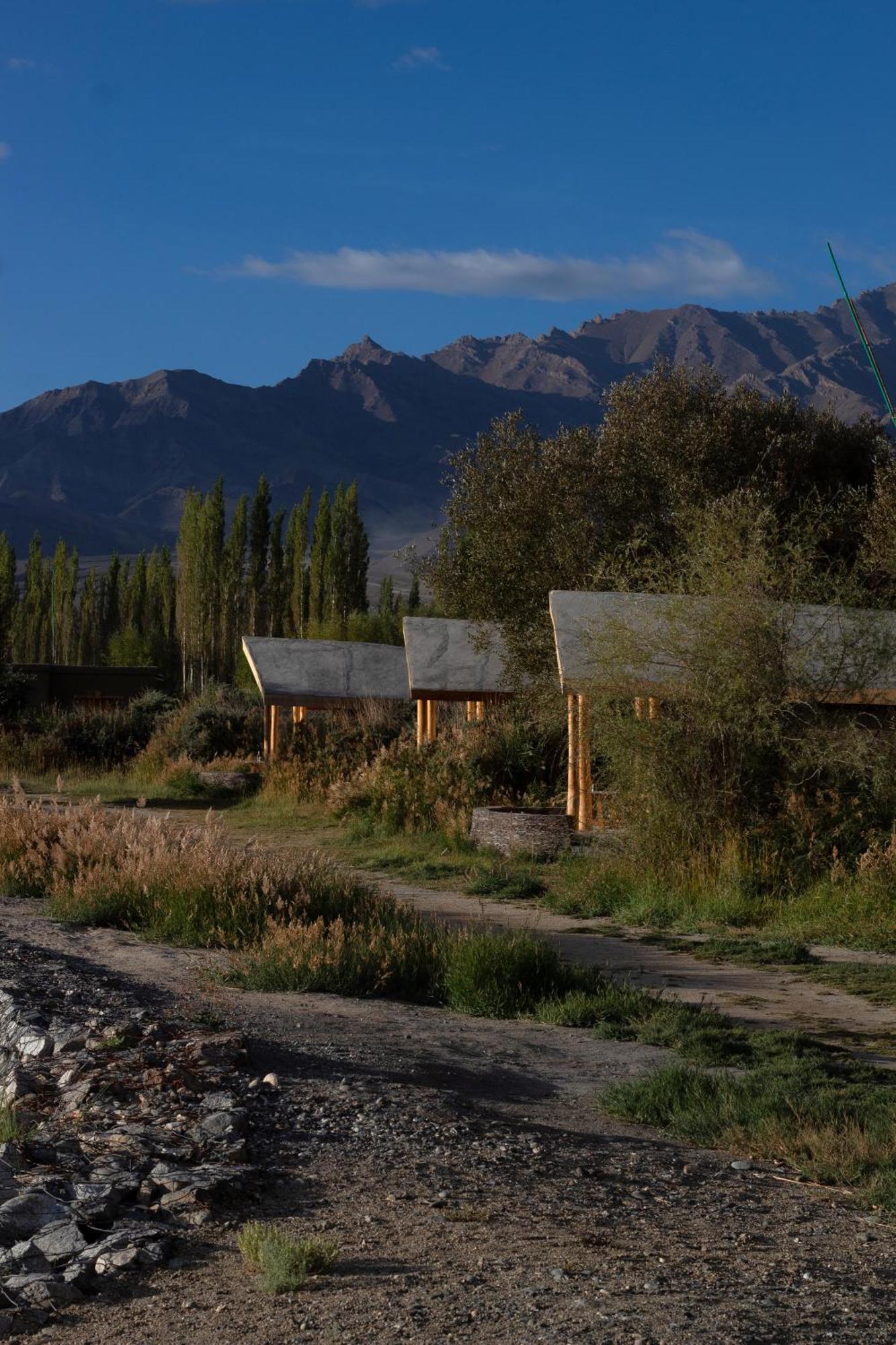 The Indus River Camp Leh Eksteriør billede